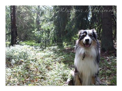 I-skogen.jpg I-skogen.jpg