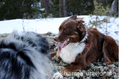 Crissta lugnar tempot IMG_2417_2.JPG
