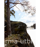 Vår IMG_2476_2.JPG