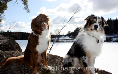 Ozzy & Crissta på klipporna IMG_2489_2.JPG