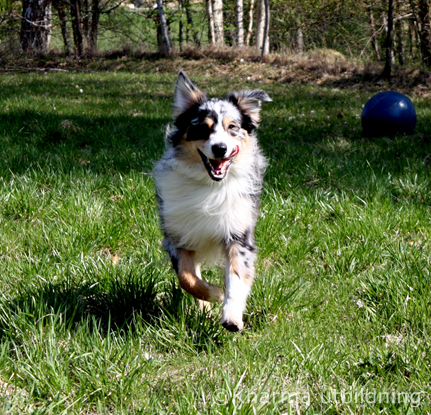 IMG_2802_2.JPG