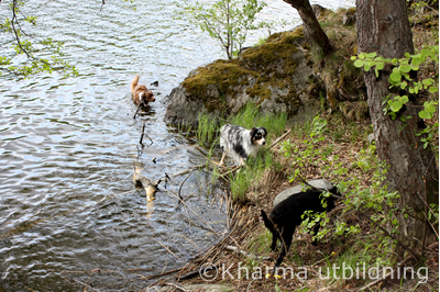 IMG_2875_2.JPG