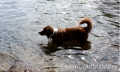 IMG_2880_2.JPG