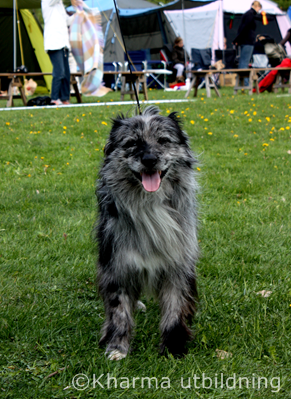 IMG_3042_2.JPG