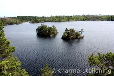 IMG_3226_2.JPG