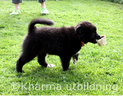 IMG_3564_2-2.JPG