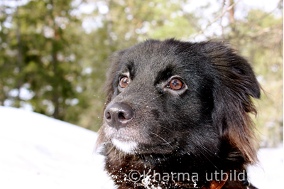 Dio IMG_5216_2.JPG